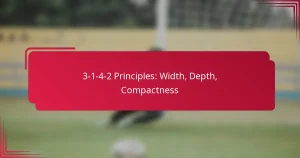 Read more about the article 3-1-4-2 Principles: Width, Depth, Compactness