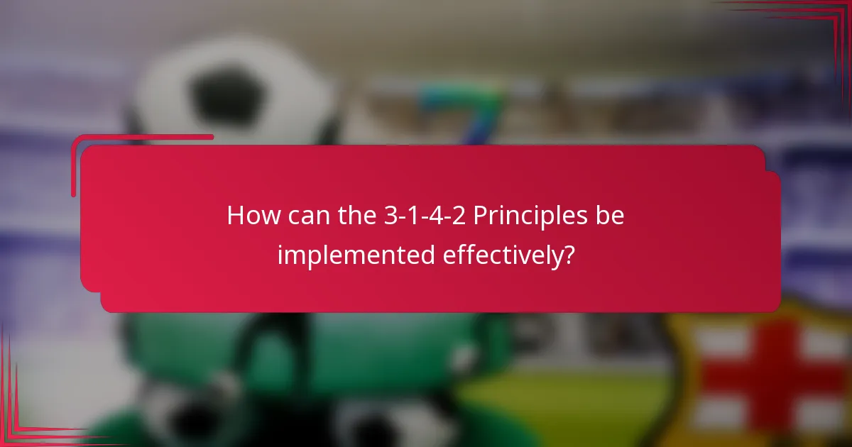 How can the 3-1-4-2 Principles be implemented effectively?