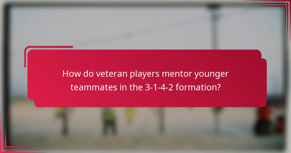 How do veteran players mentor younger teammates in the 3-1-4-2 formation?