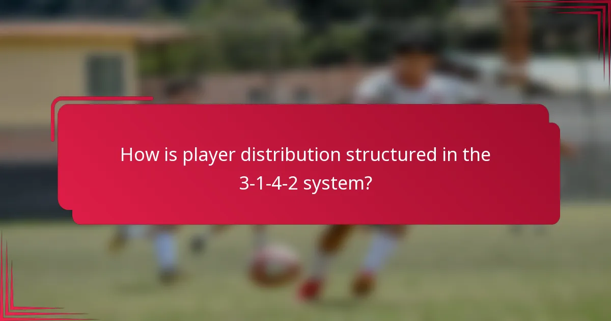 How is player distribution structured in the 3-1-4-2 system?