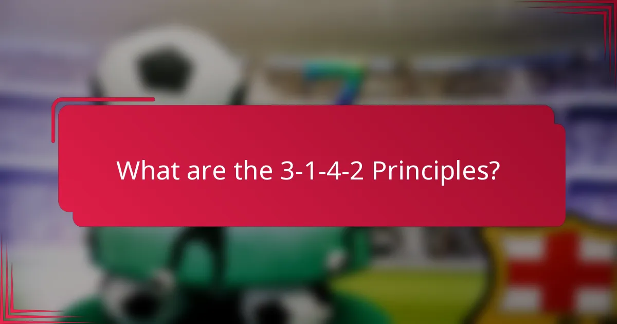 What are the 3-1-4-2 Principles?