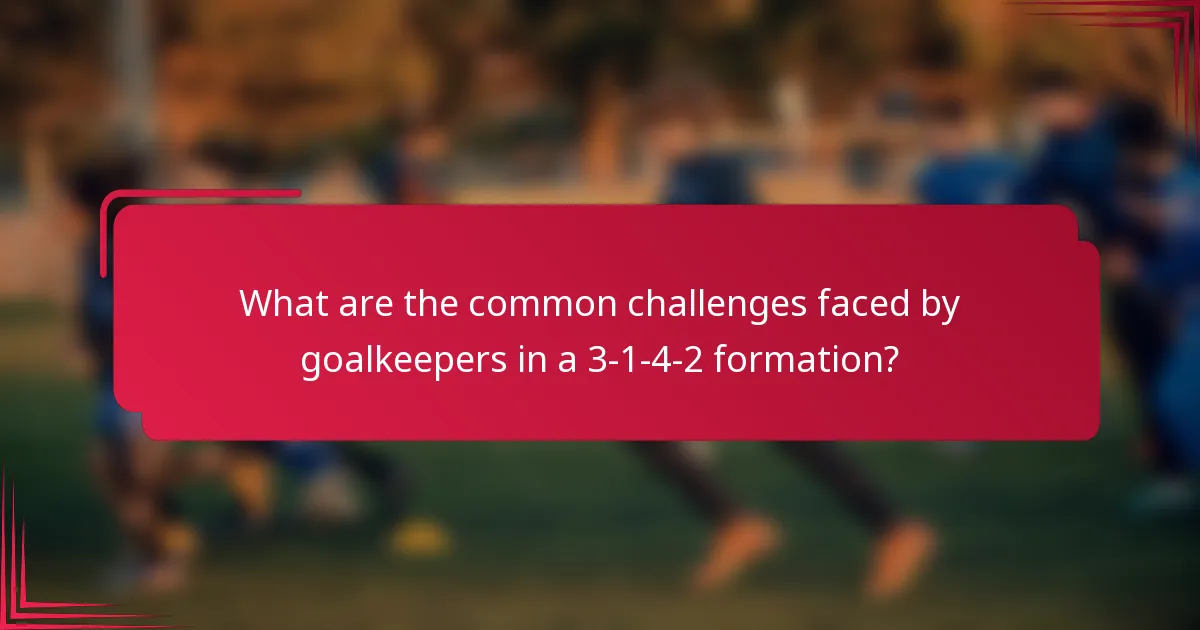 What are the common challenges faced by goalkeepers in a 3-1-4-2 formation?