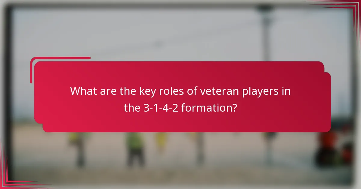 What are the key roles of veteran players in the 3-1-4-2 formation?