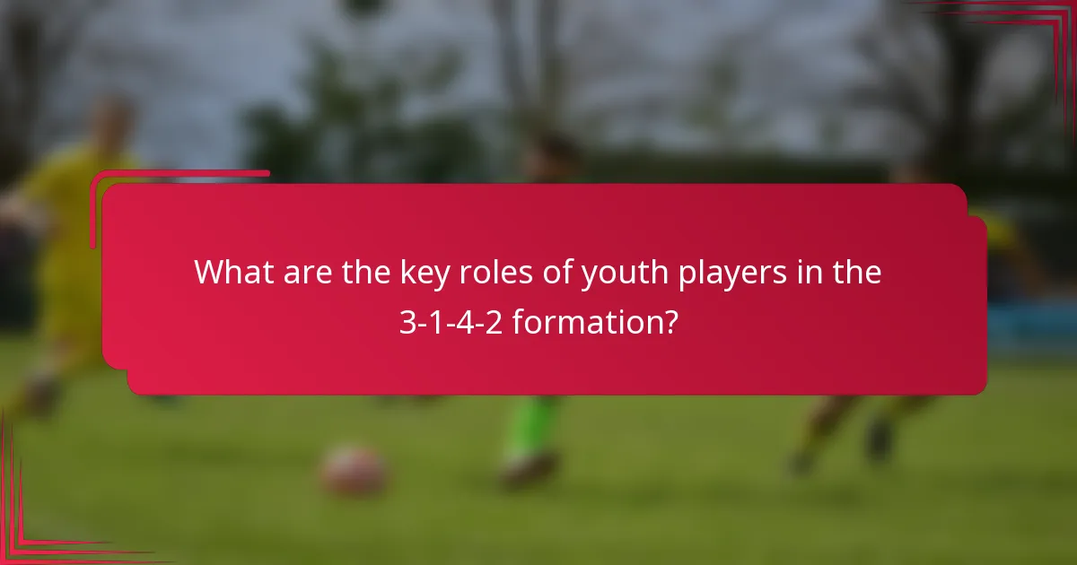 What are the key roles of youth players in the 3-1-4-2 formation?
