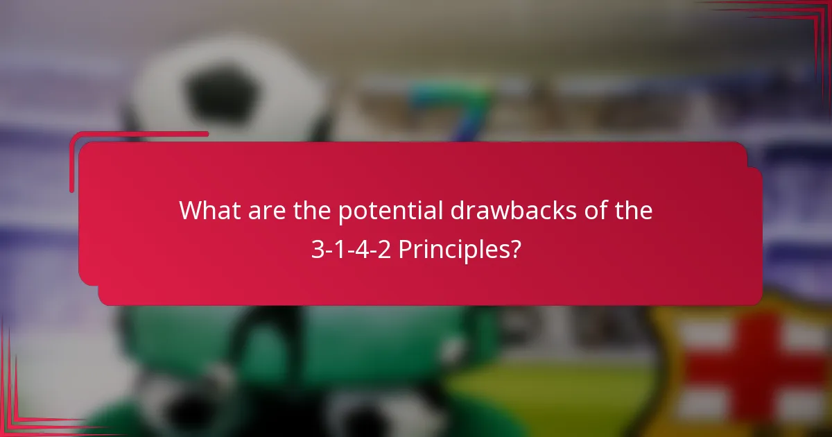 What are the potential drawbacks of the 3-1-4-2 Principles?