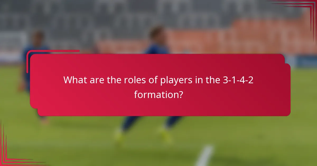 What are the roles of players in the 3-1-4-2 formation?