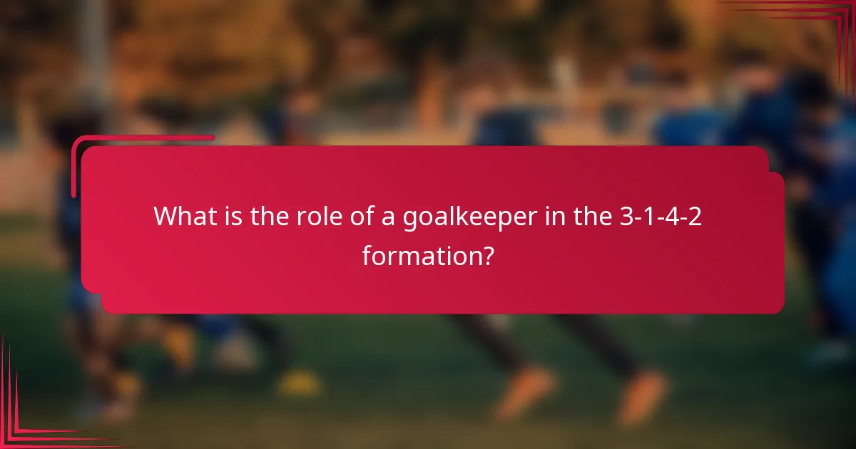 What is the role of a goalkeeper in the 3-1-4-2 formation?