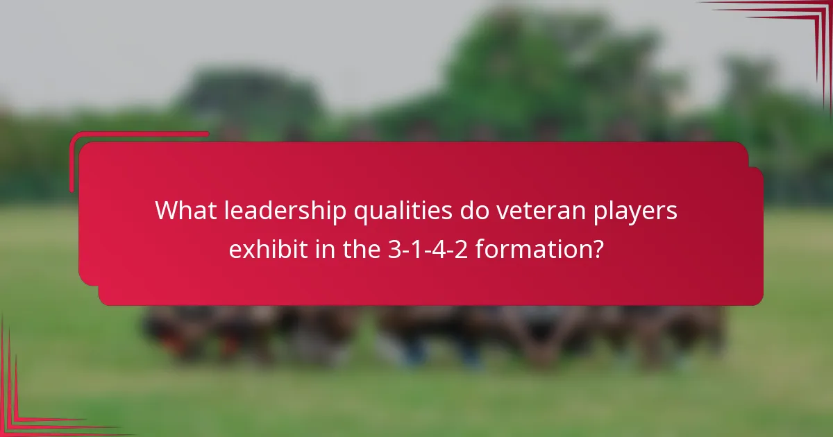 What leadership qualities do veteran players exhibit in the 3-1-4-2 formation?