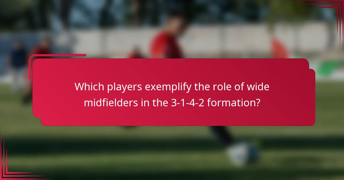 Which players exemplify the role of wide midfielders in the 3-1-4-2 formation?